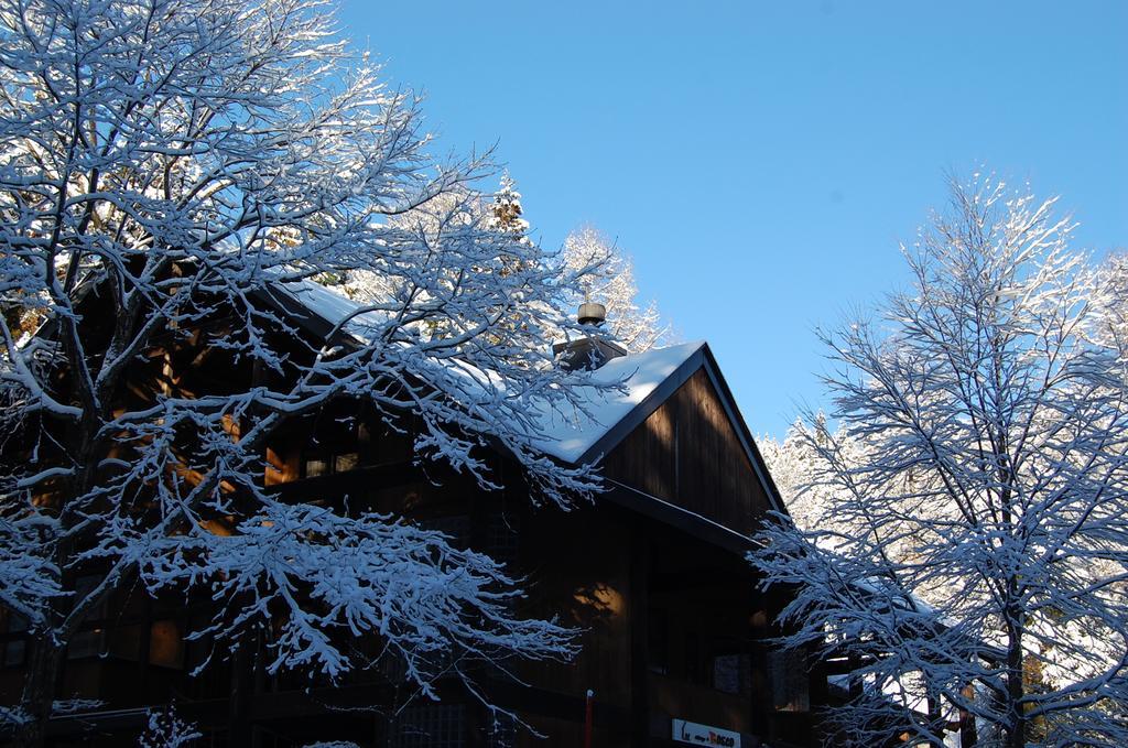 Willa Il Bosco Hakuba Zewnętrze zdjęcie