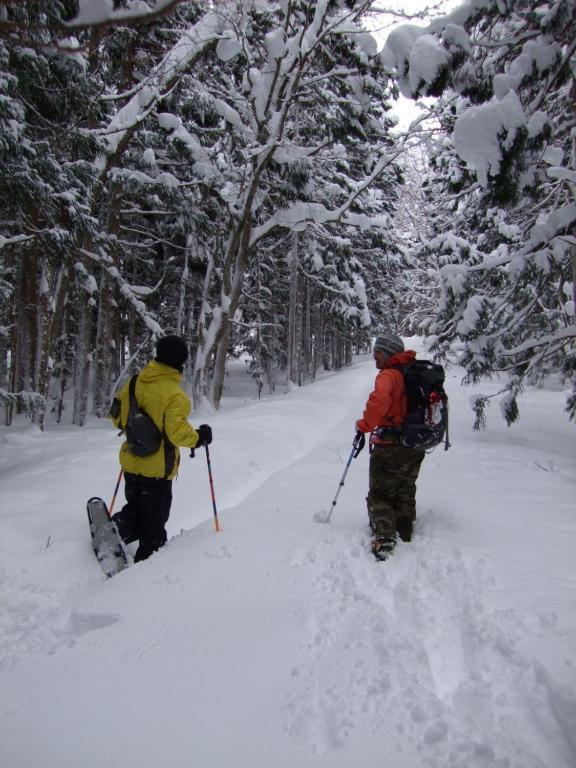 Willa Il Bosco Hakuba Zewnętrze zdjęcie